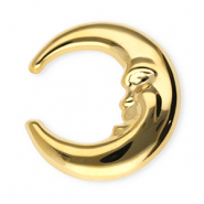 Broches accroche-regard en acier inox lune Dor&eacute;