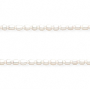 TQ Perles d'eau douce ovale Blanc naturel