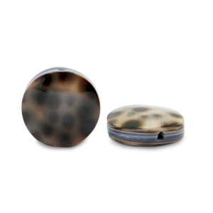 Perles coquillage 15mm Marron beige