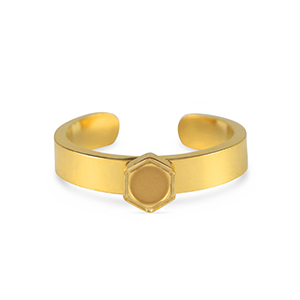 Pierre de Naissance bague avec serti pour flatback SS16 en acier Inox Dor&eacute;