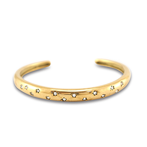 Bracelets en acier Inox jonc Dor&eacute;
