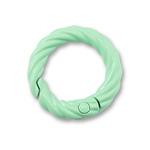 Appr&ecirc;ts color&eacute;s anneau porte-cl&eacute;s Vert menthe