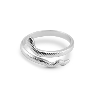 Bagues en acier Inox serpent Argent&eacute;