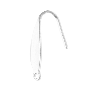 Appr&ecirc;ts en acier inox boucles d'oreilles crochet avec anneau Argent&eacute;