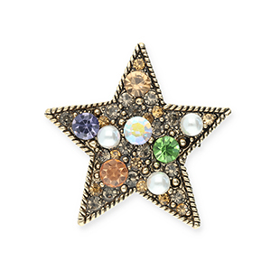 Broches &eacute;toile Dor&eacute;-noir-multicolore