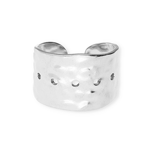Bagues en acier Inox Argent&eacute;