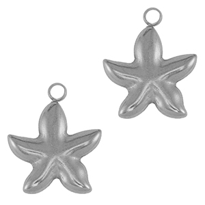 Breloques en acier Inox &eacute;toile de mer Argent&eacute;