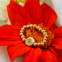 Cr&eacute;ez des bracelets personnalis&eacute;s avec des perles Fleur de Naissance